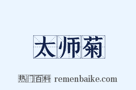 太师菊是什么意思的图片